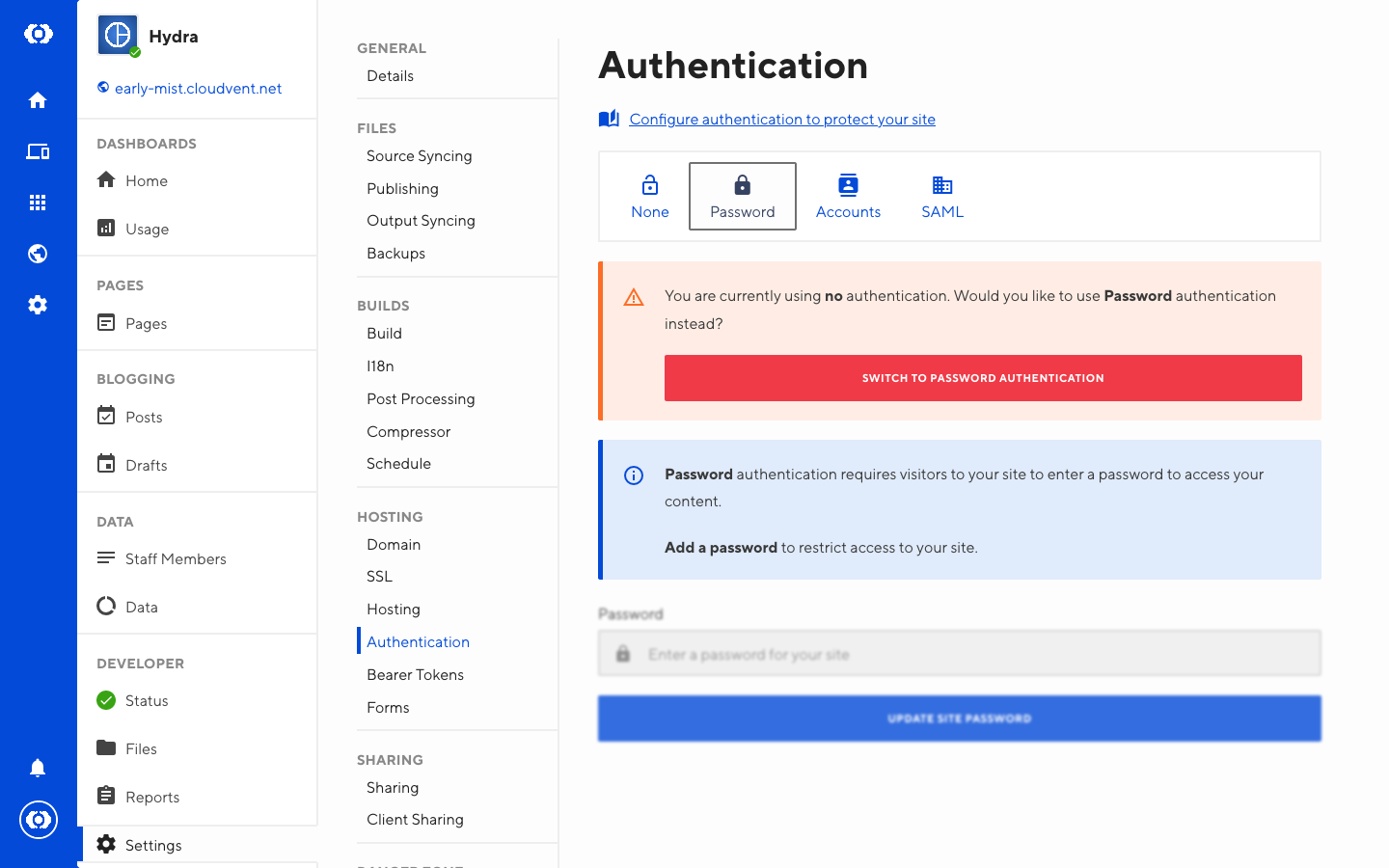 Screenshot of password tab in the authentication interface